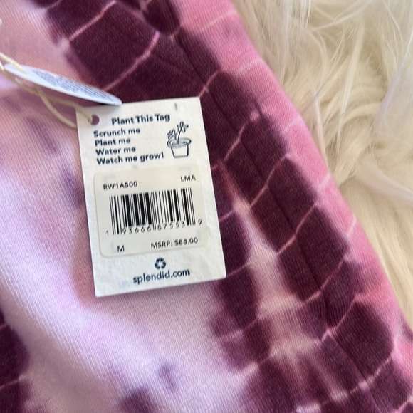 Splendid - Picture 5 of 6